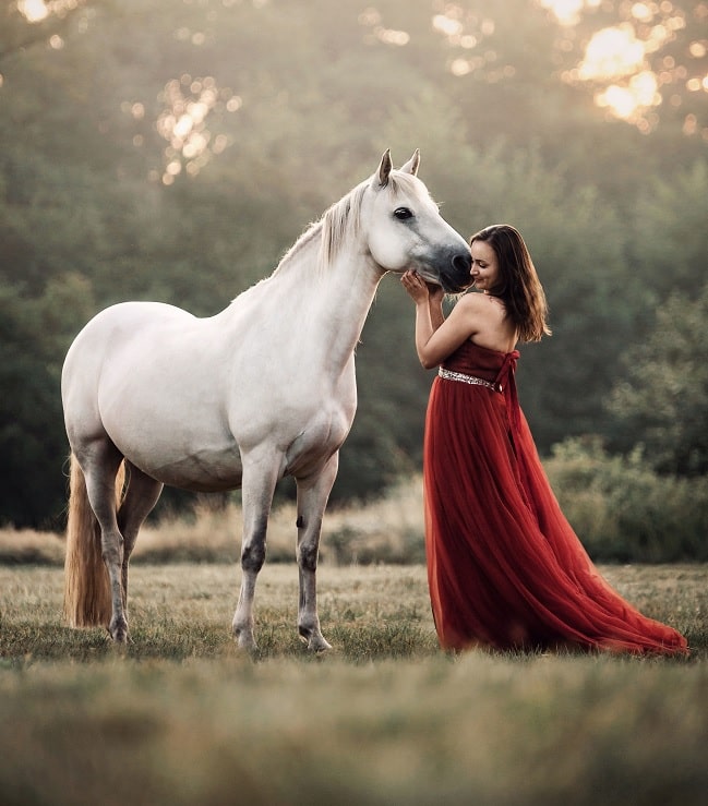 influencer with horse